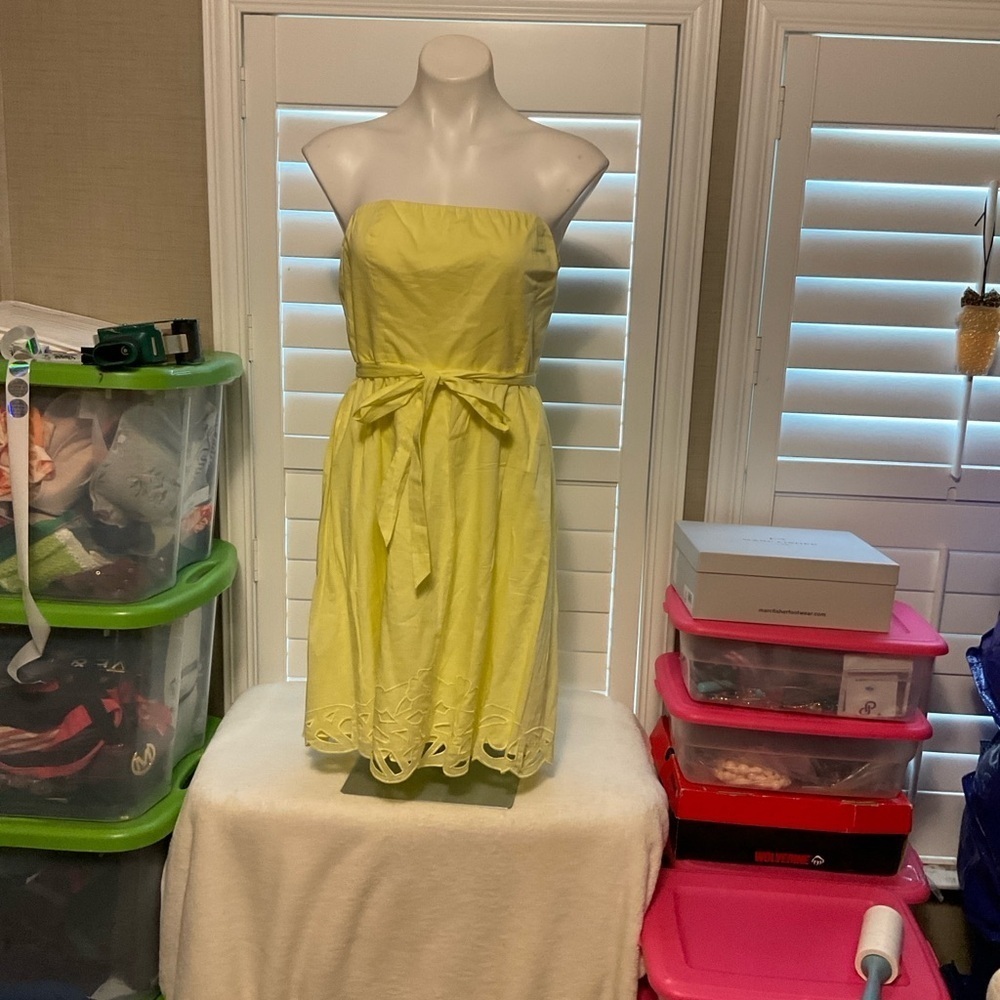 The Limited Light Yellow Strapless Dress